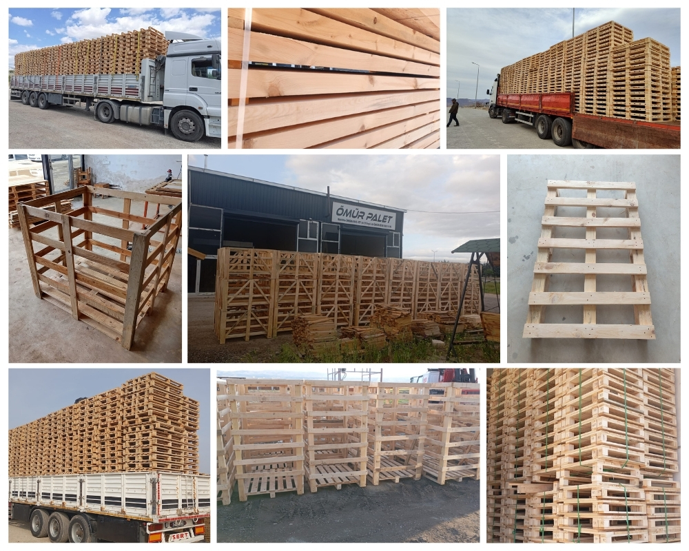 Charmouth Wooden Pallets, Buy Wooden Pallets Wholesale